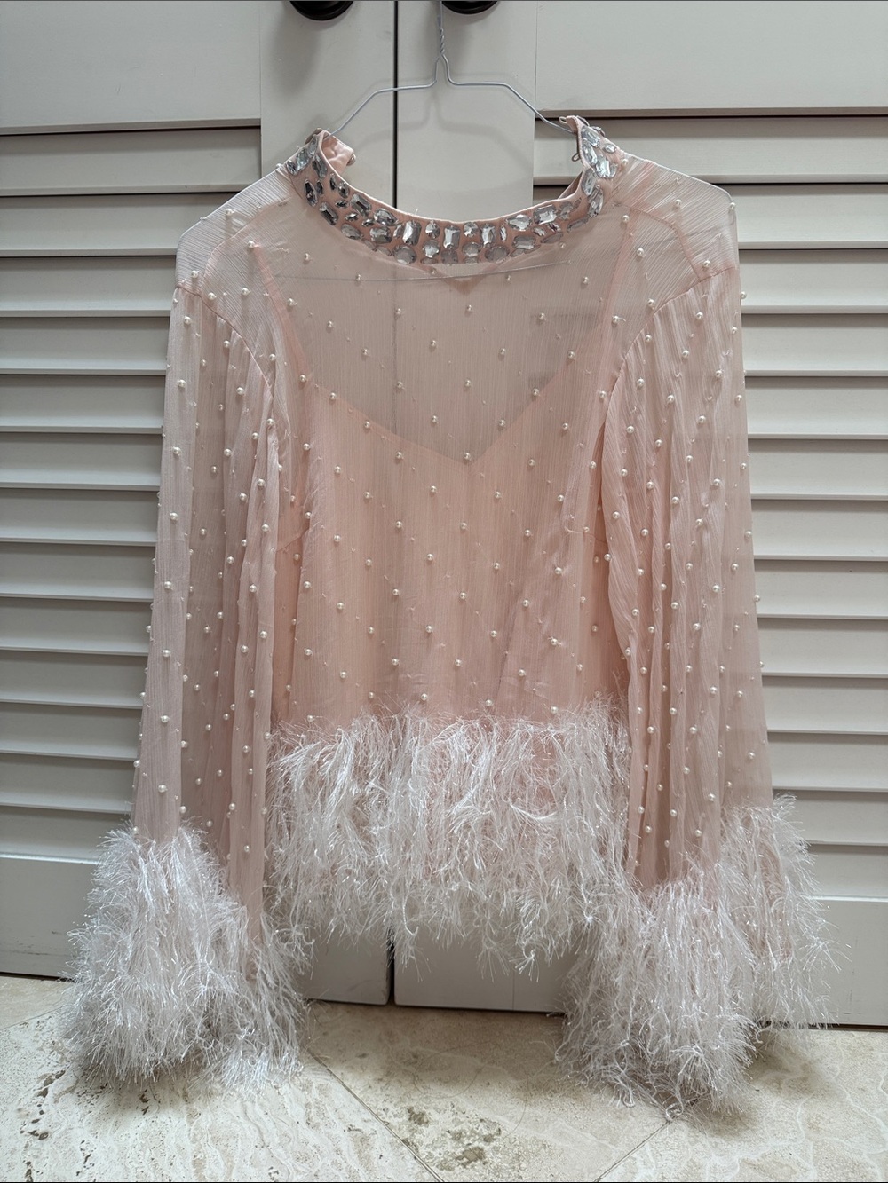 ASOS Blush Sheer Pearl-Embellished Top with Feather Trim - Picture 2 of 6